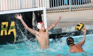 Cougars water polo preparing for foes' best shots – Orange County