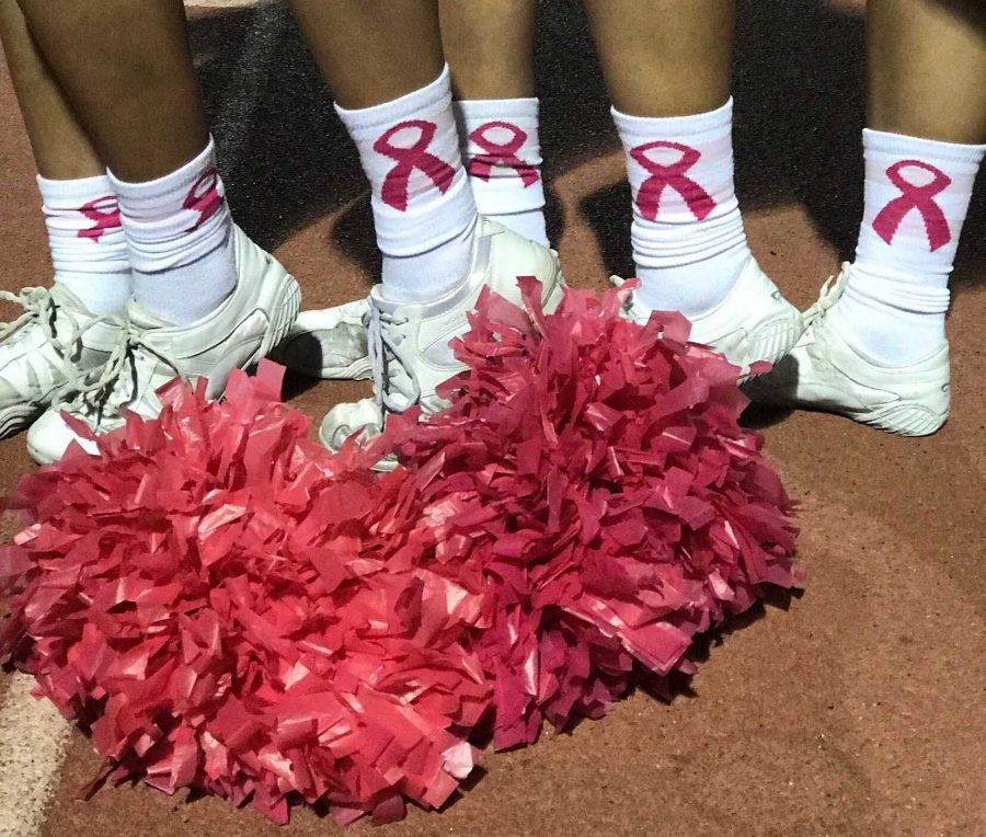 In+the+month+of+October%2C+VHSs+cheer+team+shows+their+support+for+Breast+Cancer+awareness+by+wearing+pink+socks%2C+ribbons%2C+and+by+cheering+with+pink+pom-poms.%0APhoto+by%3A+Acacia+Harrell