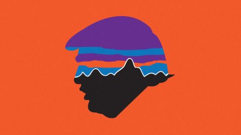 Patagonia’s pursuit for protection