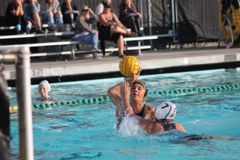 Cougars make a splash with their first league game of the season