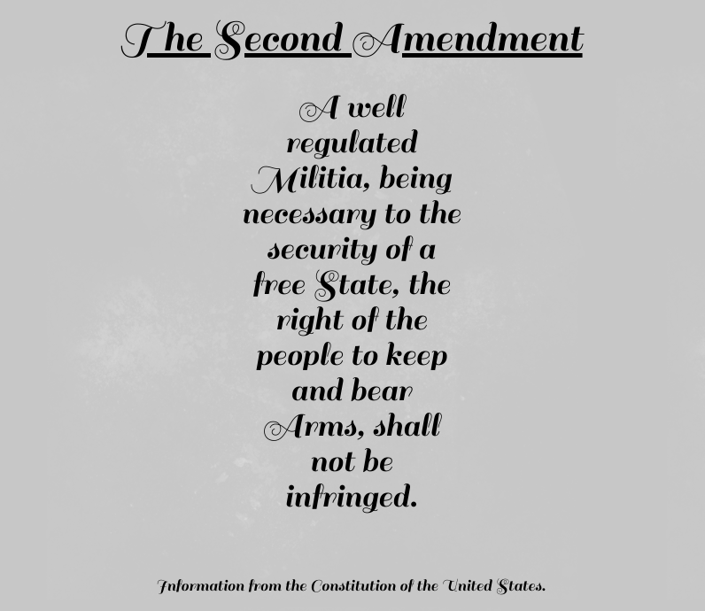 Opinion%3A+Should+guns+be+allowed+in+schools%3F