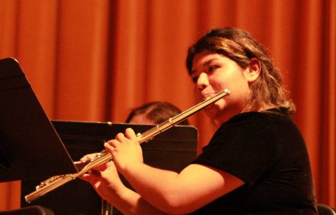 Musicians look sharp at Spring Concert
