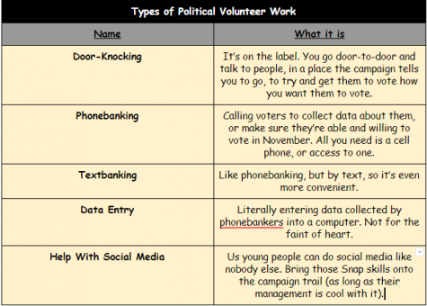 Voting isn't enough: try political volunteering