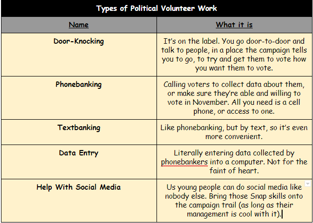 Voting isnt enough: try political volunteering