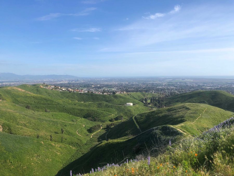 Arroyo Verde is a popular spot for hiking in Ventura. Photo by: Sarah Clench