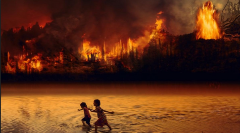 Hashtags do not stop forest fires