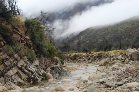 The Matilija Creek is the main tributary to the Ventura River which now has a strong current to it thanks to the recent precipitation. Photo by: Sam Hicks
