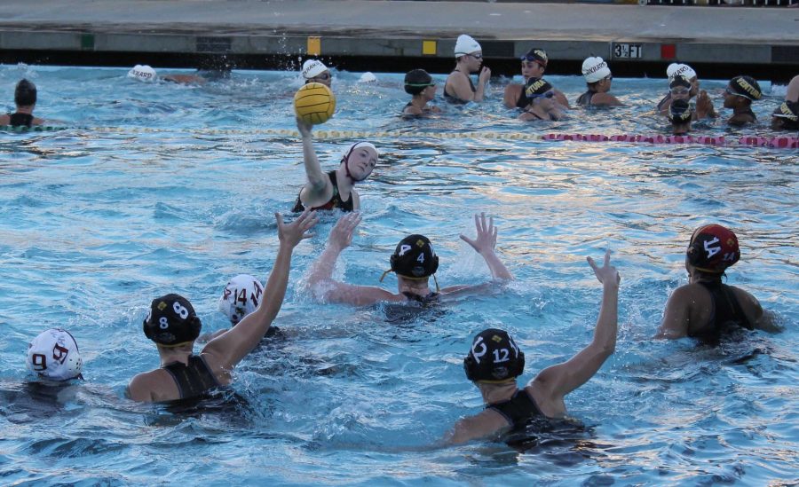 Girls polo send the yellow jackets back to the hive