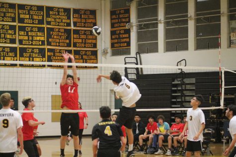 Junior Dylan Nicodemus (number 8) hard-hitting the ball to opposing side, Port Hueneme High. Photo by: Jocelyn Lee