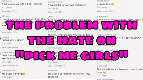 Graphic displaying TikTok comments on a pick me girl skit. All are negative toward the pick me girl. Graphic by: Avery Cameron