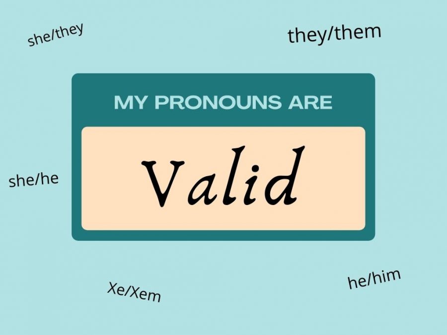 Written here are just some of the many pronouns and pronoun groupings an individual may have. Graphic by: Olive Kranzler