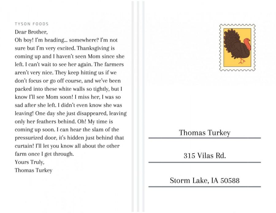 Letter from a turkey