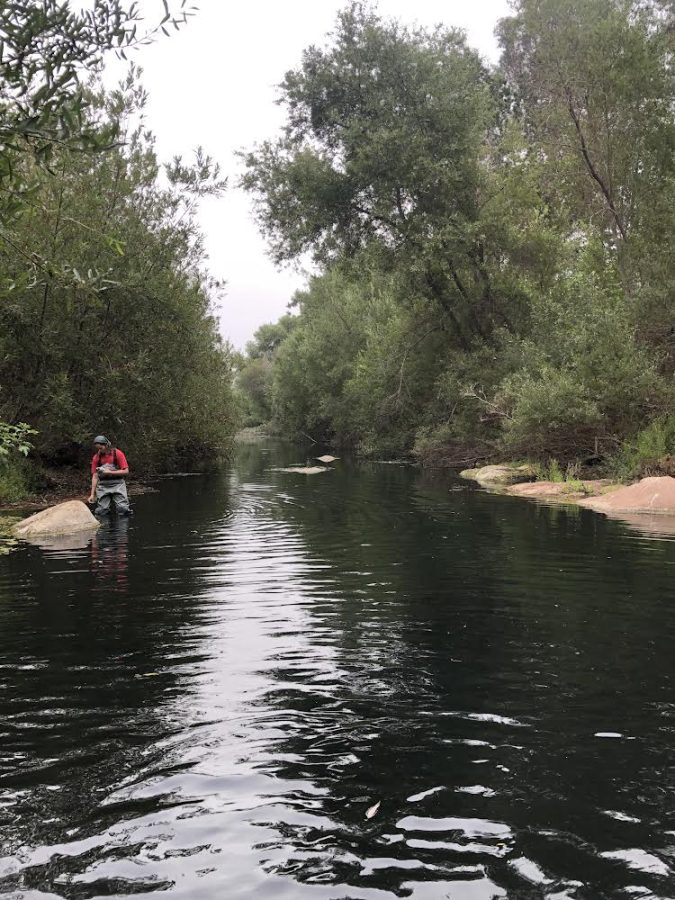 Knee deep in the Ventura River, senior Jayden Marshall retrieves data. Photo by: Lucy Eckberg