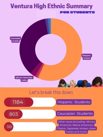 In the other races category there are a total of 13 races according for 130 students. This information was given to The Cougar Press by principal Marissa Cervantes. Infographic by: Rachel Gonzalez