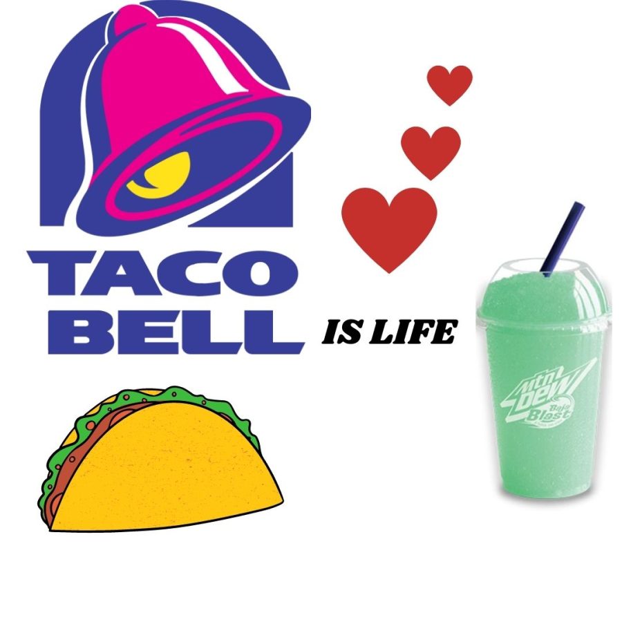 Cougar Catnip: Taco Bell is coming back baby!