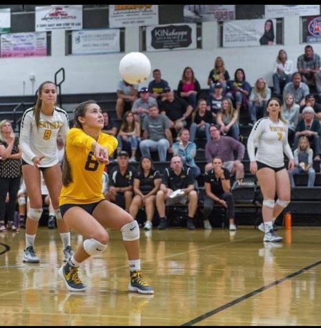 Kobie Jimenez playing the libero volleyball position at Ventura High School in 2016. The VHS Girls Volleyball team went 36-3 this season, as well as winning CIF. Photo by: Felix Cortez
