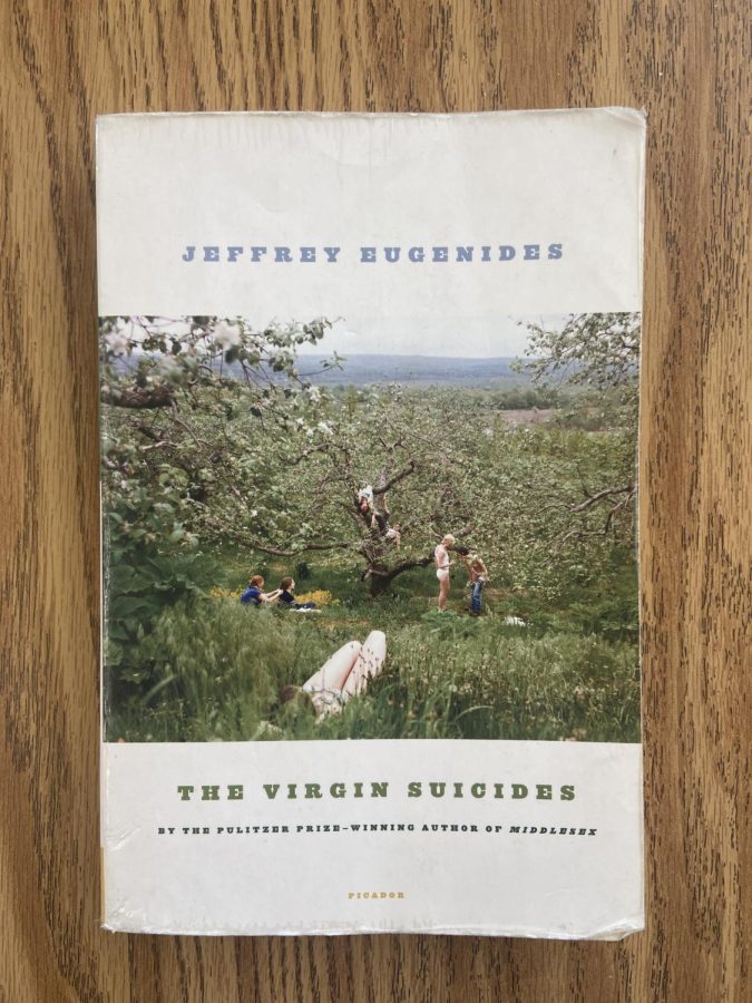 Book review: The Virgin Suicides