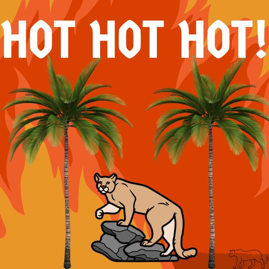 
Graphic by: Christian Montecino
As the days get hotter, so do the cougars on campus