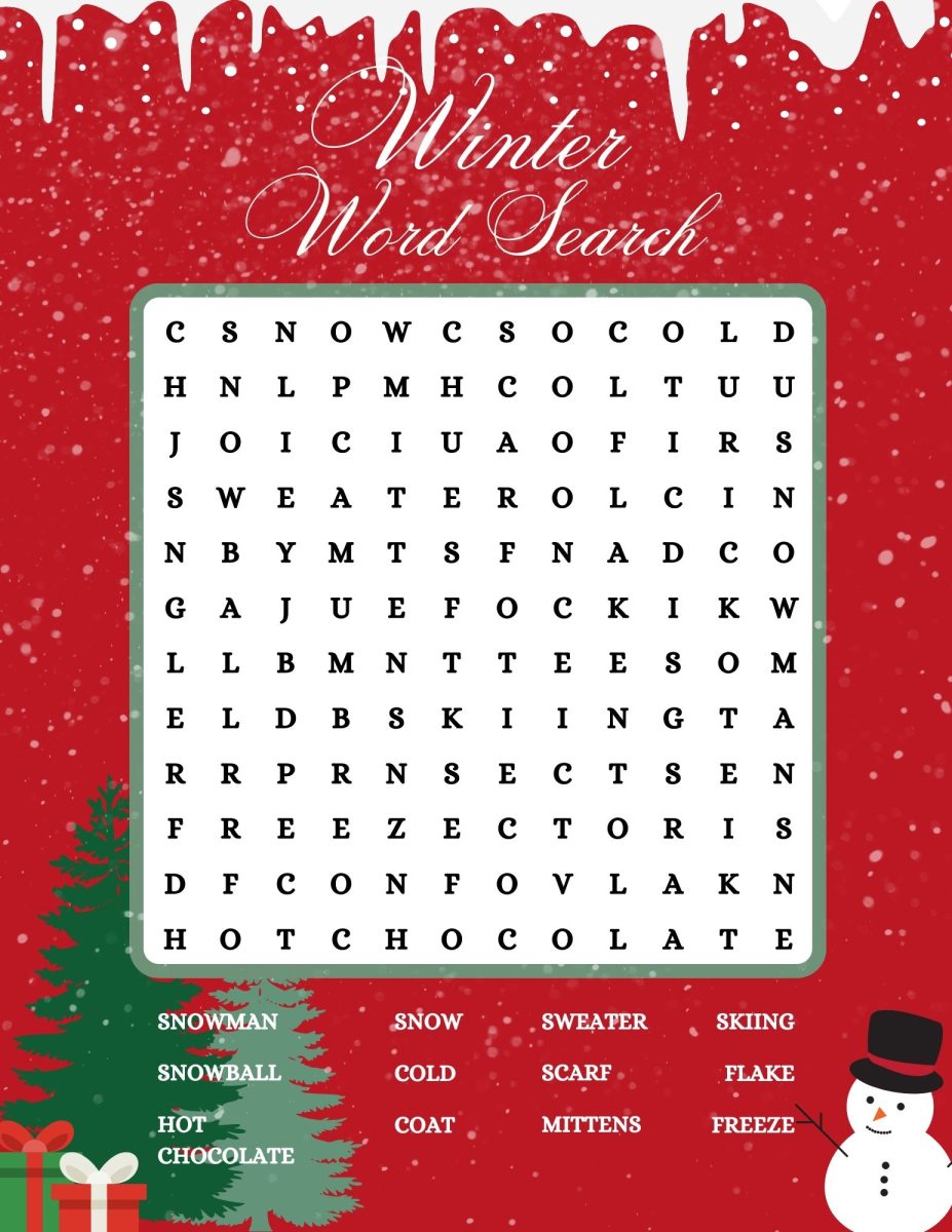 Winter word search