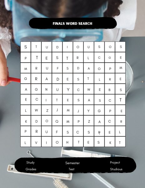 Finals week word search