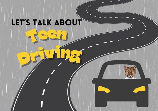 Factors such as inexperience, nighttime and weekend driving, not using seatbelts, speeding, distractions and being under the influence are all common causes of car accidents among teens. Graphic by: Ava Mohror
