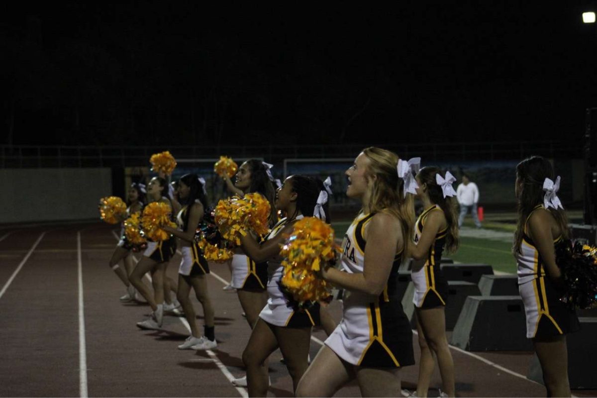 The VHS cheer team will be cheering at football, basketball and possibly some other sports games. If it works out, they will go to their own cheer competitions. Photo by: Hailey Burgess
