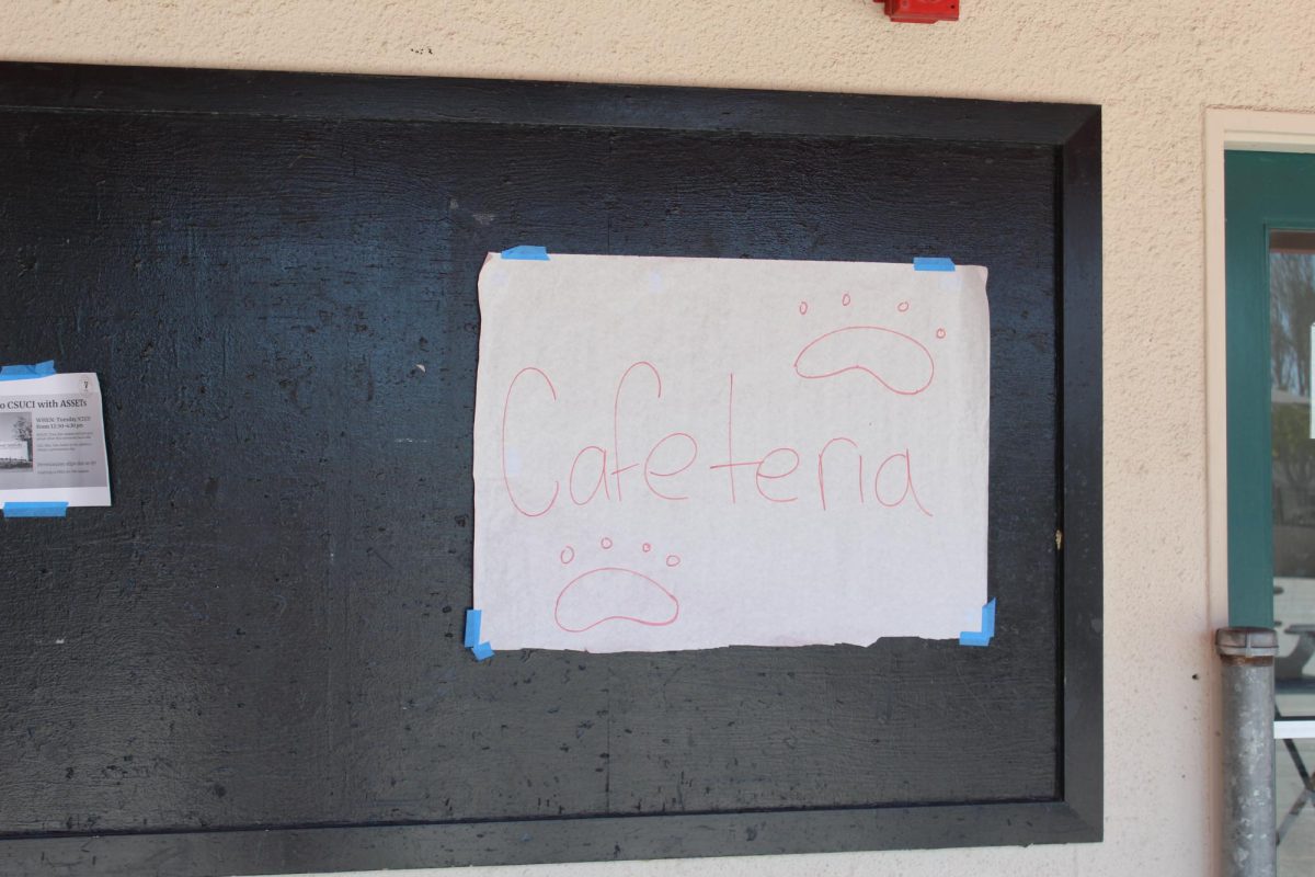 Students cultivate opinions on school lunches