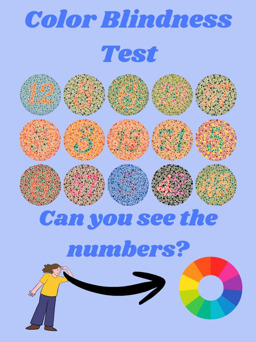 Color Blindness Test