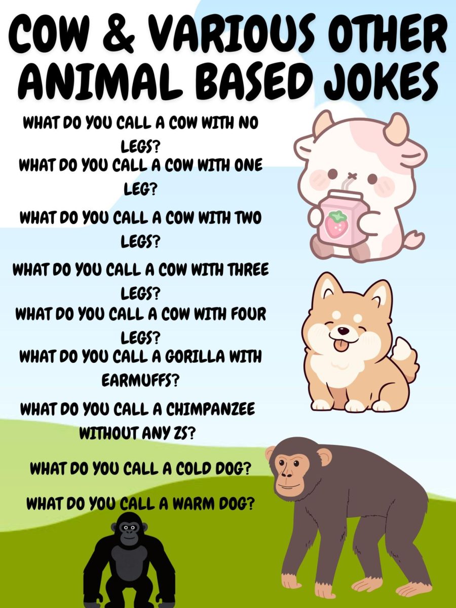 Cow jokes
