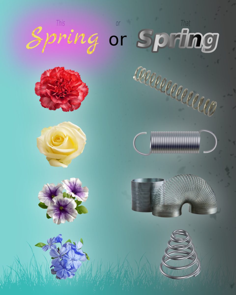 Spring or spring